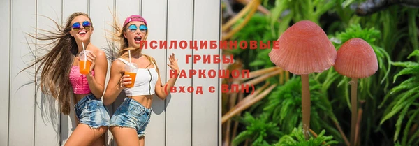 молекула духа Алексеевка