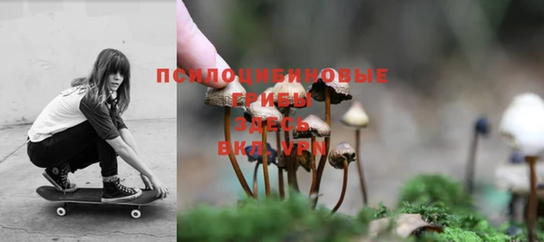 соль курить ск Алексин