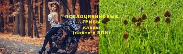 трава Алзамай