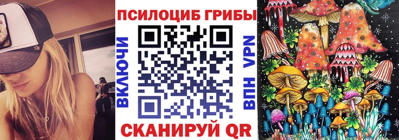Галлюциногенные грибы Psilocybine cubensis купить сайты Юрьев-Польский